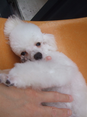 20090530リ17