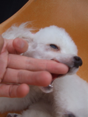 20090530リ18