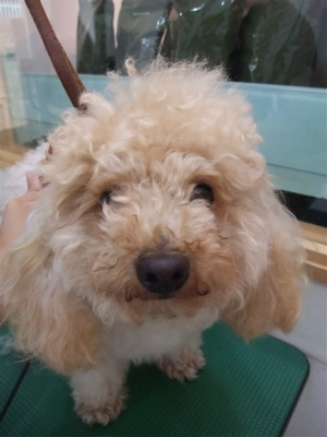 20090625¥ë2