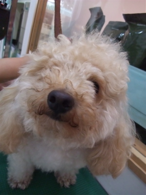 20090625¥ë3