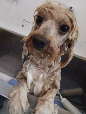 20090625¥ë5