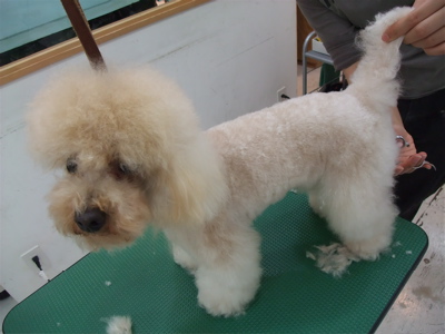 20090625¥ë8