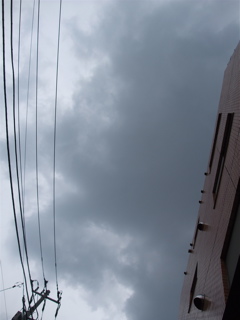 20090823¡¡¥Ó¥·¥ç¥ó¥Õ¥ê¡¼¥¼¡¡¥Õ¥ó¥È¥Ò¥å¥Ã¥Æ¡¡¥³¥ó¥°¡¡Î±¼éÈÖ¡¡4