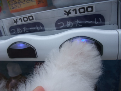 ¥Ó¥·¥ç¥ó¥Õ¥ê¡¼¥¼¡¡¥Õ¥ó¥È¥Ò¥å¥Ã¥Æ¡¡¤ª¤µ¤ó¤Ý¡¡2