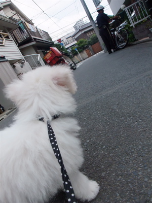 ¥Ó¥·¥ç¥ó¥Õ¥ê¡¼¥¼¡¡¥Õ¥ó¥È¥Ò¥å¥Ã¥Æ¡¡¤ª¤µ¤ó¤Ý¡¡8