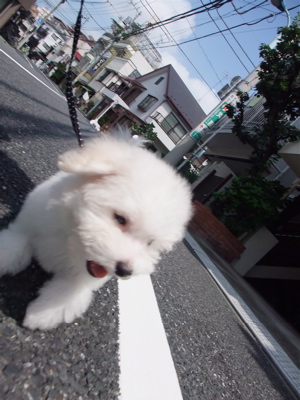 ¥Ó¥·¥ç¥ó¥Õ¥ê¡¼¥¼¡¡¥Õ¥ó¥È¥Ò¥å¥Ã¥Æ¡¡¤ª¤µ¤ó¤Ý¡¡9