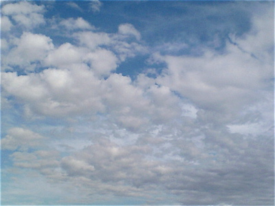 20091009¡¡ÀĶõ¡¡¤ª¤µ¤ó¤Ý