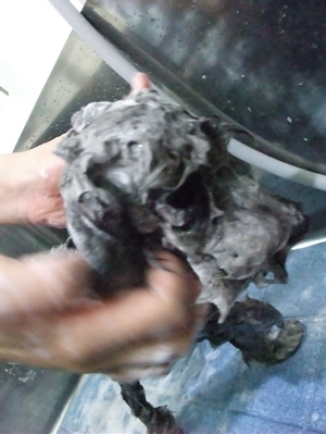 プードル トイプー シルバー トリミング カット シャンプー フントヒュッテ hundehutte 東京 文京区 こいぬ情報 仔犬情報 子犬情報 トリミングサロン 4.jpg