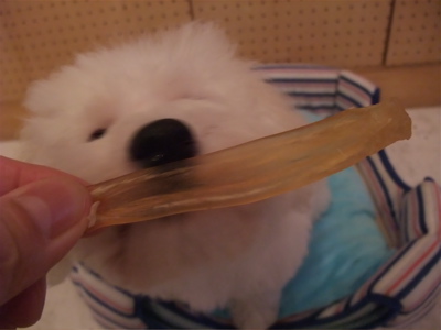 牛アキレス職人の味国産無添加無着色犬用おやつビションフリーゼブリーダー子犬東京フントヒュッテ文京区トリミングサロンビションカットアフロカット犬の歯磨き1.jpg
