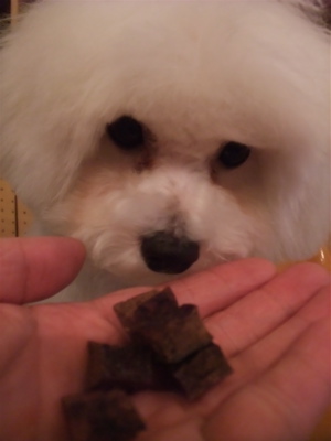 P-ball犬おやつ国産無添加無着色まぐろダイスカットフントヒュッテhundehutte東京ビションフリーゼブリーダービションカット文京区トリミングたまごちゃんランコ2.jpg