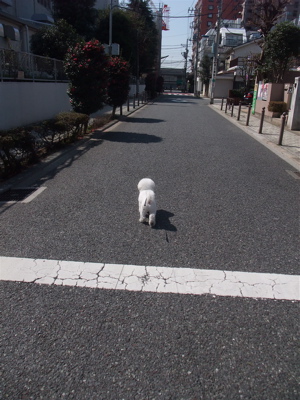 ¥Ó¥·¥ç¥ó¥Õ¥ê¡¼¥¼¥Ö¥ê¡¼¥À¡¼Åìµþ¥Õ¥ó¥È¥Ò¥å¥Ã¥Æ¸¤¥°¥Ã¥º¥Õ¥ì¥¥·¥ê¡¼¥É¿½Ì¥ê¡¼¥Éflexi¿½Ì¼«ºß¤Î¥ê¡¼¥É¼«Í³¤ª»¶Ê⸤ÇÅËáºäʸµþ¶è¥È¥ê¥ß¥ó¥°¥Ó¥·¥ç¥ó¥«¥Ã¥È8.jpg
