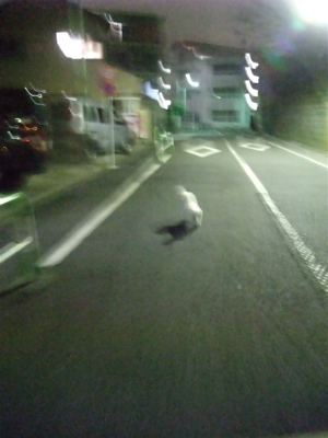東北関東大震災東日本大震災計画停電東京電力東北地方太平洋沖地震津波警報帰宅難民避難所宮城県津波被害福島原発FUKUSHIMA50ガソリン不足在庫なしガソリンスタンド休業6.jpg