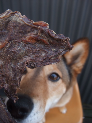 職人の味国産犬おやつ馬肉ジャーキーフントヒュッテビションフリーゼ東京ビションカット文京区hundehuttemarimekkoマリメッコキャリーバッグDDlabディディラボ1.jpg