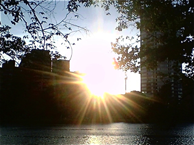 ¾åÌî¸ø±à¥Ü¡¼¥ÈÃÓ¾åÌîÆ°Êª±à¥Ñ¥ó¥À¥Õ¥ó¥È¥Ò¥å¥Ã¥Æ¥Ó¥·¥ç¥ó¥Õ¥ê¡¼¥¼Åìµþ¥Î¡¼¥Õ¥©¡¼¥¯¥Æ¥ê¥¢¥Ö¥ê¡¼¥À¡¼hundehutteʸµþ¶è¥È¥ê¥ß¥ó¥°¥Ó¥·¥ç¥ó¥Õ¥ê¡¼¥¼¥«¥Ã¥È1.jpg