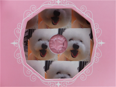¥Ó¥·¥ç¥ó¥Õ¥ê¡¼¥¼¥È¥ê¥ß¥ó¥°Ê¸µþ¶è¥Ó¥·¥ç¥ó¥Õ¥ê¡¼¥¼¥«¥Ã¥È¥Õ¥ó¥È¥Ò¥å¥Ã¥Æ¥Ó¥·¥ç¥ó¥Õ¥ê¡¼¥¼Åìµþ¥Î¡¼¥Õ¥©¡¼¥¯¥Æ¥ê¥¢»Ò¸¤hundehutte¥Ï¡¼¥Ö¥Ñ¥Ã¥¯¸¤»õË᤻õÀнüµî13.jpg