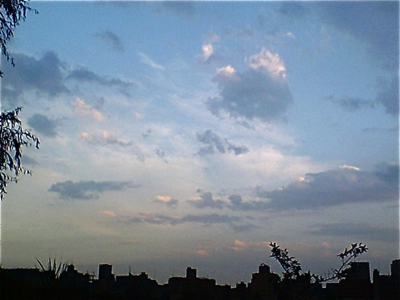 ¾åÌî¸ø±à¥Ü¡¼¥ÈÃÓ¾åÌîÆ°Êª±à¥Ñ¥ó¥À¥Õ¥ó¥È¥Ò¥å¥Ã¥Æ¥Ó¥·¥ç¥ó¥Õ¥ê¡¼¥¼Åìµþ¥Î¡¼¥Õ¥©¡¼¥¯¥Æ¥ê¥¢¥Ö¥ê¡¼¥À¡¼hundehutte¥Ó¥·¥ç¥ó¥«¥Ã¥Èʸµþ¶è¥Ó¥·¥ç¥ó¥È¥ê¥ß¥ó¥°.jpg