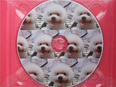 ビションフリーゼトリミング文京区ビションフリーゼカットフントヒュッテビションフリーゼ子犬情報東京hundehutteバースデープレゼントCDギフトケース16.jpg