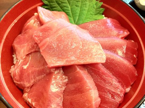 犬と東北旅行わんこと本州最北端大間崎大間のマグロ本州最北端到達証明書「本州最北端の地」の石碑本マグロの一本釣りマグロのモニュメント本州最東端�ヶ埼とどがさき7.jpg