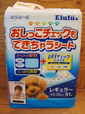 おしっこチェックもできちゃうシートpHチェックシステムペーハーチェックシステムエリエールEluluエルル新開発!pHチェックシステム3Dドライメッシュシート小池徹平CMイメージ1.jpg