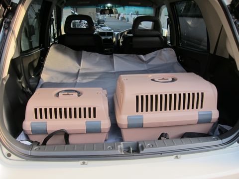 リッチェルキャンピングキャリーお外でキャリーお家でハウスバリケンネルエアトラベルキャリーペットボイジャー犬送迎トリミング文京区フントヒュッテhundehutte4.jpg