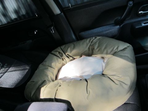 free stitch WASHABLE BED ウォッシャブルベッド 犬用ベッド フリースティッチ取扱店東京 フントヒュッテ 文京区 犬グッズ わんちゃんベッド hundehutte 5.jpg