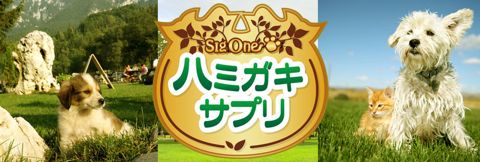 ハミガキサプリVIVATECハミガキサプリ取扱店東京フントヒュッテ文京区トリミング犬デンタルケア犬の歯磨き犬の歯医者さん犬の歯磨き悩み犬歯垢歯石除去hundehutte駒込3.jpg