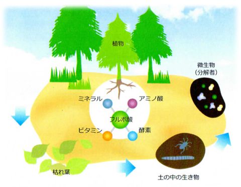 ハミガキサプリVIVATECハミガキサプリ取扱店東京フントヒュッテ文京区トリミング犬デンタルケア犬の歯磨き犬の歯医者さん犬の歯磨き悩み犬歯垢歯石除去hundehutte駒込5.jpg