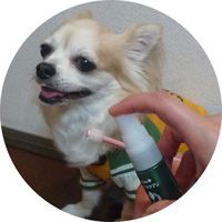 ハミガキサプリVIVATECハミガキサプリ取扱店東京フントヒュッテ文京区トリミング犬デンタルケア犬の歯磨き犬の歯医者さん犬の歯磨き悩み犬歯垢歯石除去hundehutte駒込7.jpg