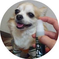 ハミガキサプリVIVATECハミガキサプリ取扱店東京フントヒュッテ文京区トリミング犬デンタルケア犬の歯磨き犬の歯医者さん犬の歯磨き悩み犬歯垢歯石除去hundehutte駒込8.jpg