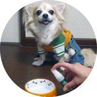 ハミガキサプリVIVATECハミガキサプリ取扱店東京フントヒュッテ文京区トリミング犬デンタルケア犬の歯磨き犬の歯医者さん犬の歯磨き悩み犬歯垢歯石除去hundehutte駒込9.jpg