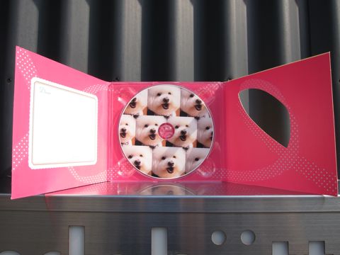 ビションフリーゼフントヒュッテ文京区トリミングナノオゾンペットシャワー使用店東京ビションフリーゼのカットのできるお店犬お誕生日バースデー割引hundehuttef.jpg