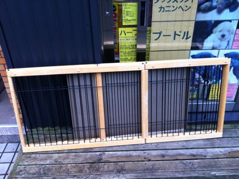 ビションフリーゼフントヒュッテ東京かわいいビションフリーゼフントヒュッテ文京区hundehutte子犬ケージこいぬゲージハウストレーニング仔犬がお家にやってきたら1.jpg