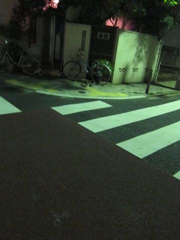 ビションフリーゼフントヒュッテ東京子犬こいぬかわいいビションフリーゼブリーダーかわいいビションフリーゼのいるお店文京区本駒込hundehutte仔犬ビション375.jpg