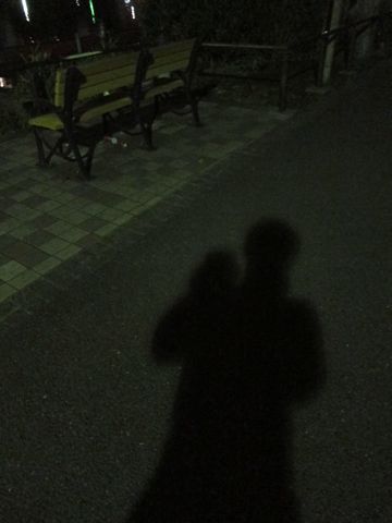 ビションフリーゼフントヒュッテ東京関東ビションフリーゼ子犬情報こいぬかわいいかわいいビションフリーゼのいるお店文京区本駒込hundehutte仔犬ビションフリーゼ267.jpg