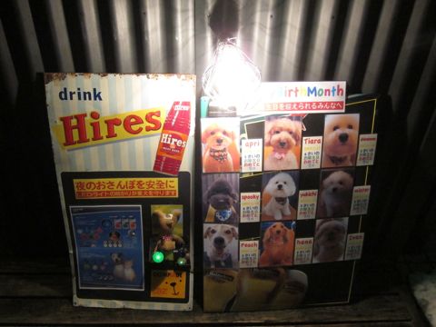 NITE IZE SPOTLIT LED¡¡¥Ê¥¤¥È¥¢¥¤¥º¡¡¥¹¥Ý¥Ã¥È¥é¥¤¥È¡¡LED¥é¥¤¥È¡¡¸¤ÍѤª¤µ¤ó¤Ý¥°¥Ã¥º¡¡Ìë¤Î¤ª¤µ¤ó¤Ý¡¡ÌëÆ»¡¡°Å¤¤¡¡¸¤¡¡¥Ð¡¼¥¹¥Ç¡¼¥Ü¡¼¥ÉºîÀ®¥Õ¥ó¥È¥Ò¥å¥Ã¥Æ¡¡9.jpg