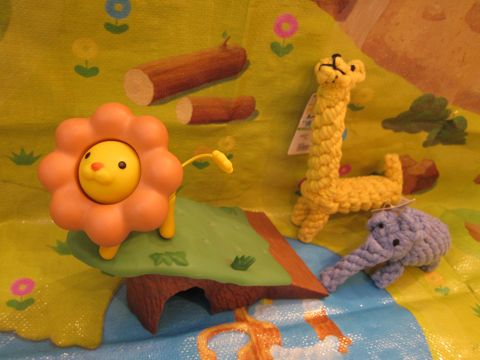 わんこおもちゃ犬デンタルロープ犬歯みがき効果のあるおもちゃポンポリース香り付きロープTOYティーカップベアデンタルロープキリンゾウ都内フントヒュッテ18.jpg