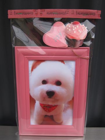 ビションフリーゼトリミング文京区フントヒュッテビションかわいい子犬ナノオゾンペットシャワー使用トリミングサロン都内ビションカット犬ハーブパック効果k.jpg
