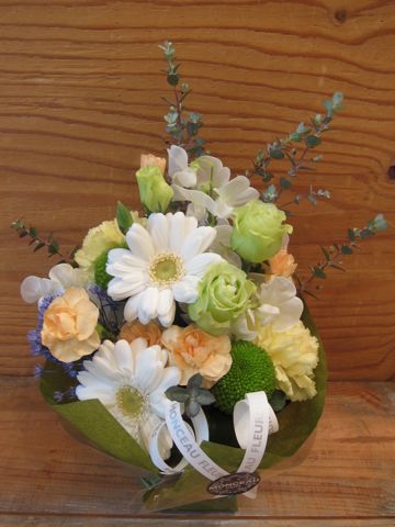 20130414ジロ3.jpg