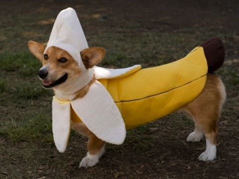20130528.jpg