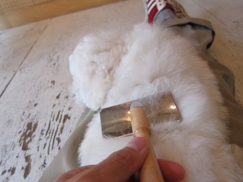 ビションフリーゼフントヒュッテ東京子犬こいぬかわいいビションフリーゼのいるお店文京区駒込ペットサロンhundehutteトリミングビションBichon Friseフランスの犬白い犬212.jpg