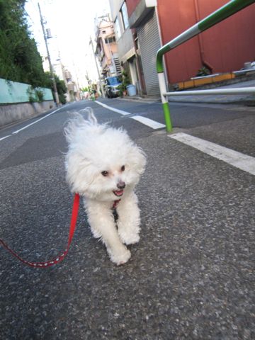 ¥Û¥Æ¥ë¸¤¤ª¤¢¤º¤«¤ê¥Ú¥Ã¥È¥Û¥Æ¥ëʸµþ¶è¥Ó¥·¥ç¥ó¥Õ¥ê¡¼¥¼¥È¥ê¥ß¥ó¥°¥Õ¥ó¥È¥Ò¥å¥Ã¥ÆÅìµþ¥È¥ê¥ß¥ó¥°¥µ¥í¥ó¥Ó¥·¥ç¥ó¥«¥Ã¥È´ØÅìhundehutte¤«¤ï¤¤¤¤¥Ó¥·¥ç¥ó15.jpg