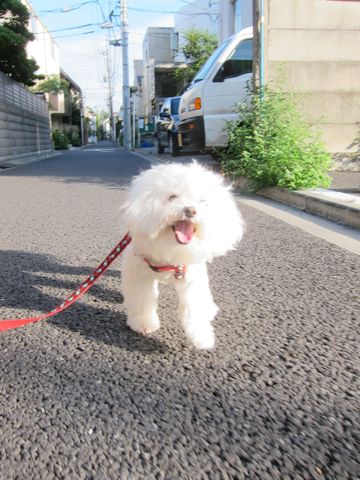 ¥Û¥Æ¥ë¸¤¤ª¤¢¤º¤«¤ê¥Ú¥Ã¥È¥Û¥Æ¥ëʸµþ¶è¥Ó¥·¥ç¥ó¥Õ¥ê¡¼¥¼¥È¥ê¥ß¥ó¥°¥Õ¥ó¥È¥Ò¥å¥Ã¥ÆÅìµþ¥È¥ê¥ß¥ó¥°¥µ¥í¥ó¥Ó¥·¥ç¥ó¥«¥Ã¥È´ØÅìhundehutte¤«¤ï¤¤¤¤¥Ó¥·¥ç¥ó19.jpg