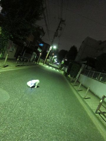 ホテル犬おあずかりペットホテル文京区ビションフリーゼトリミングフントヒュッテ東京トリミングサロンビションカット関東hundehutteかわいいビション44.jpg