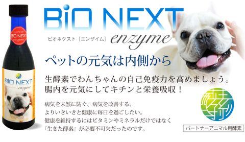 BiO NEXT¡¡¥Ó¥ª¥Í¥¯¥¹¥È¡¡¥¨¥ó¥¶¥¤¥à¡¡À¸¹ÚÁÇ¡¡¼«¸ÊÌȱÖÎϤò¹â¤á¤ë¡¡À¸¤¤¿¹ÚÁÇ¡¡À¸¹ÚÁÇ¡¡±Õ¾õ¡¡À¸¤¤¿È¯¹Ú¿©ÉÊ¡¡ÌȱÖÎÏ¥¢¥Ã¥×¡¡¸¤¡¡¹ÚÁÇ¡¡¸ú²Ì¡¡¥Ú¥Ã¥È¡¡À¸¹ÚÁÇ¡¡4.jpg