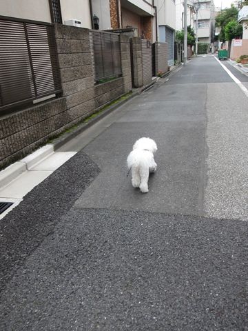 ¥Û¥Æ¥ë¸¤¤ª¤¢¤º¤«¤ê¥Ú¥Ã¥È¥Û¥Æ¥ëʸµþ¶è¥Ó¥·¥ç¥ó¥Õ¥ê¡¼¥¼¥È¥ê¥ß¥ó¥°¥Õ¥ó¥È¥Ò¥å¥Ã¥ÆÅìµþ¥È¥ê¥ß¥ó¥°¥µ¥í¥ó¥Ó¥·¥ç¥ó¥«¥Ã¥È´ØÅìhundehutte¤«¤ï¤¤¤¤¥Ó¥·¥ç¥ó126.jpg