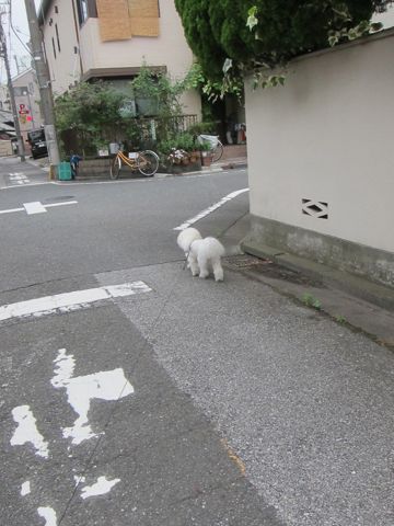 ¥Û¥Æ¥ë¸¤¤ª¤¢¤º¤«¤ê¥Ú¥Ã¥È¥Û¥Æ¥ëʸµþ¶è¥Ó¥·¥ç¥ó¥Õ¥ê¡¼¥¼¥È¥ê¥ß¥ó¥°¥Õ¥ó¥È¥Ò¥å¥Ã¥ÆÅìµþ¥È¥ê¥ß¥ó¥°¥µ¥í¥ó¥Ó¥·¥ç¥ó¥«¥Ã¥È´ØÅìhundehutte¤«¤ï¤¤¤¤¥Ó¥·¥ç¥ó128.jpg