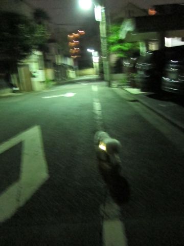 ¥Û¥Æ¥ë¸¤¤ª¤¢¤º¤«¤ê¥Ú¥Ã¥È¥Û¥Æ¥ëʸµþ¶è¥Ó¥·¥ç¥ó¥Õ¥ê¡¼¥¼¥È¥ê¥ß¥ó¥°¥Õ¥ó¥È¥Ò¥å¥Ã¥ÆÅìµþ¥È¥ê¥ß¥ó¥°¥µ¥í¥ó¥Ó¥·¥ç¥ó¥«¥Ã¥È´ØÅìhundehutte¤«¤ï¤¤¤¤¥Ó¥·¥ç¥ó137.jpg