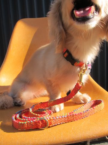 フントヒュッテオリジナル首輪カラーリードリーシュハーネスhundehutte東京かわいい犬の首輪Collarカラーわんこ首輪LeashリーシュHarnessハーネスおしゃれ犬胴輪犬モデルリード5.jpg