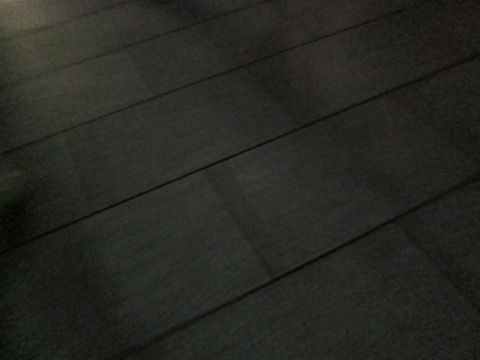 犬ペットホテルおあずかり文京区ビションフリーゼフントヒュッテ東京トリミングサロン関東hundehutteペットサロンビション画像ビションフリーゼトリミング料金15.jpg