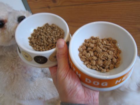 ビションフリーゼトリミング文京区フントヒュッテトリミングサロン東京ビションフリーゼカットスタイルモデル犬ハーブパック効果ペットサロン駒込犬歯磨き150.jpg